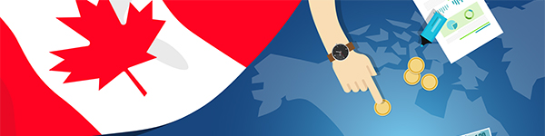 Budget Banner