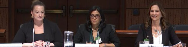 Banner_HESA