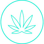 Cannabis icon