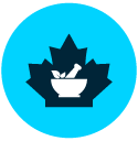 Canadian Pharmacy Practice Icon