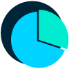 CDSA Pie Chart Icon