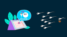 How to manage contraceptive missed doses